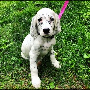 Meet your Posher, Kylie